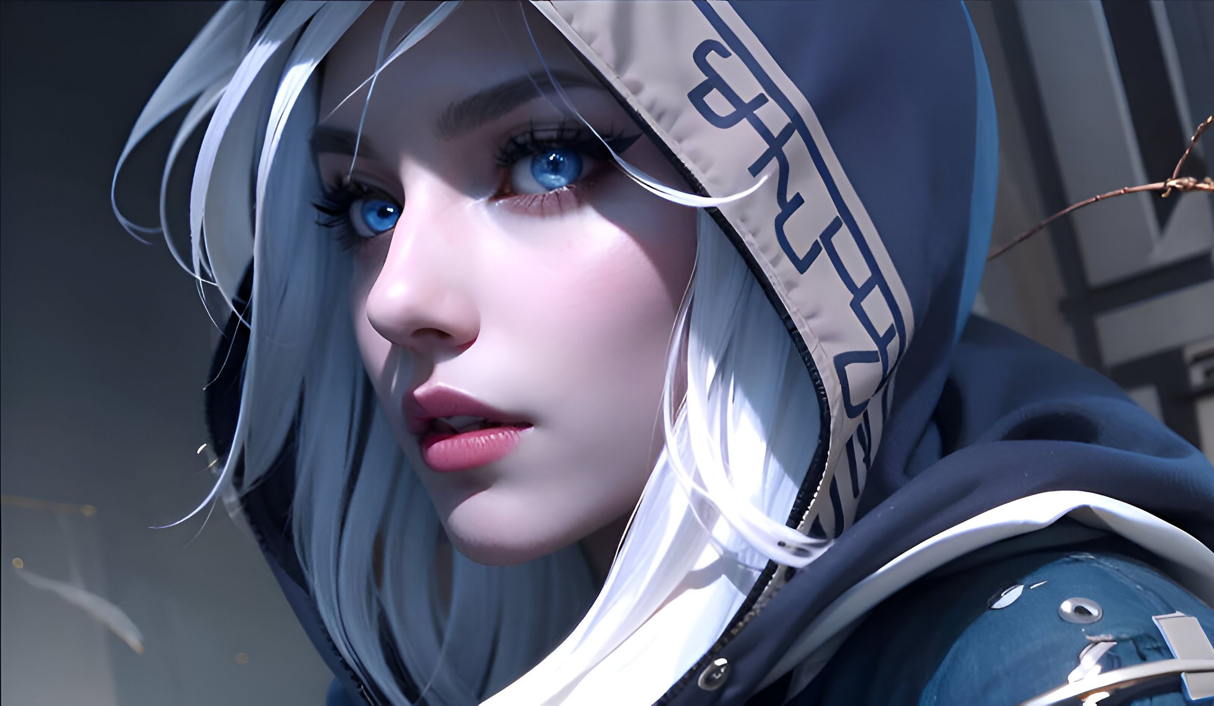 建立长尾内 建立长尾内